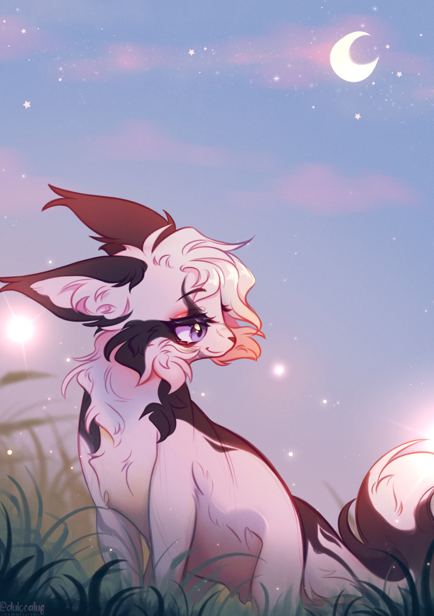 c: illustration • 2024